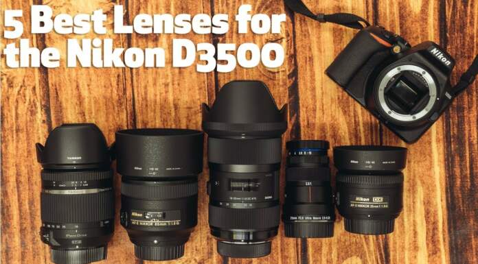 5 Best Lenses for the Nikon D3500 under $800 Nikon D3500 lenses