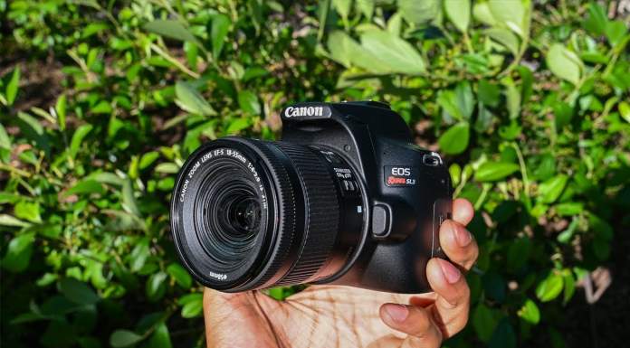 Canon Rebel SL3 vs SL2 | Specs, Features & Photos