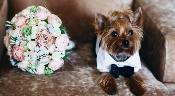 The Only 3 Wedding Photography Lenses You Need The Only 3 Wedding Photography Lenses You Need Feature 2