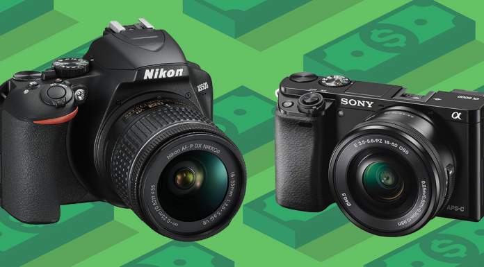 5 BEST Beginner Cameras Under $500 (Sample Photos)