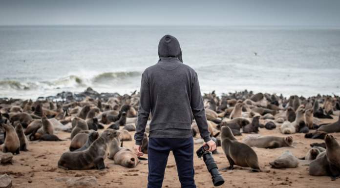 4 Nature Photography Tips For Beginners Nature Photography Tips
