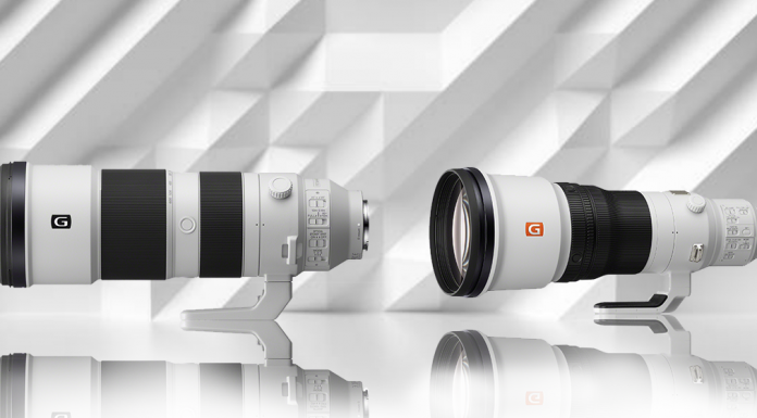Sony Super-telephoto | FE 200-600mm & 600mm F4 G Master Prime Sony 600mm F4 G FE and Sony 200-600mm F5.6-6.3 G OSS