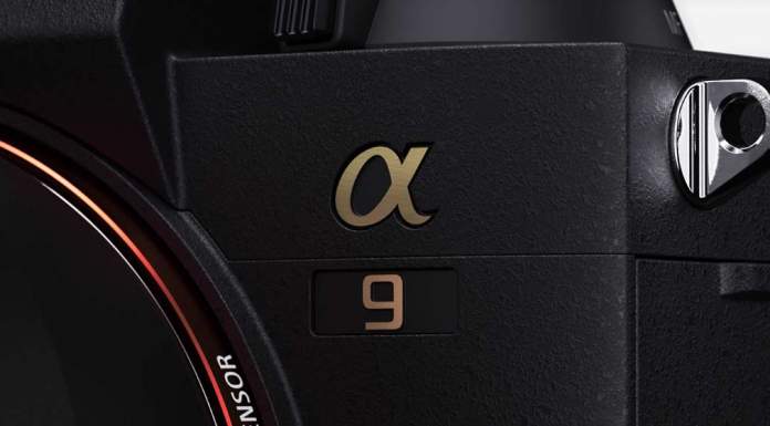 Sony a9 II vs Sony a9 – Worth The Upgrade? (Photo/Spec Comparison)