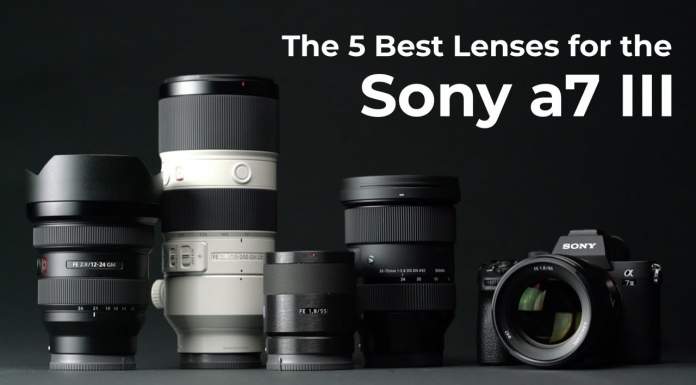 The 5 Best Lenses for the Sony a7 III