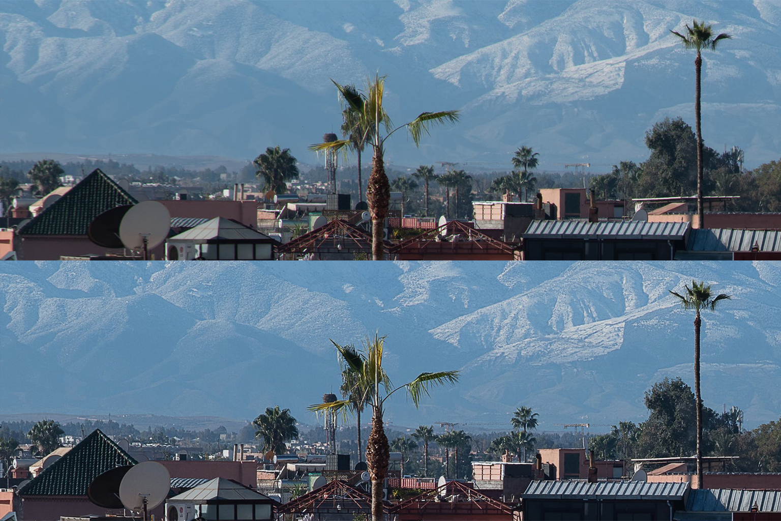 The ZEISS Look – Why Every Photographer Should Try a ZEISS Lens - Focus ...