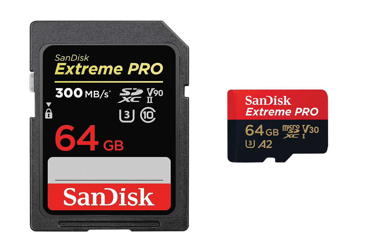 A Guide to SD Card Speed & Other Specs Focus Camera