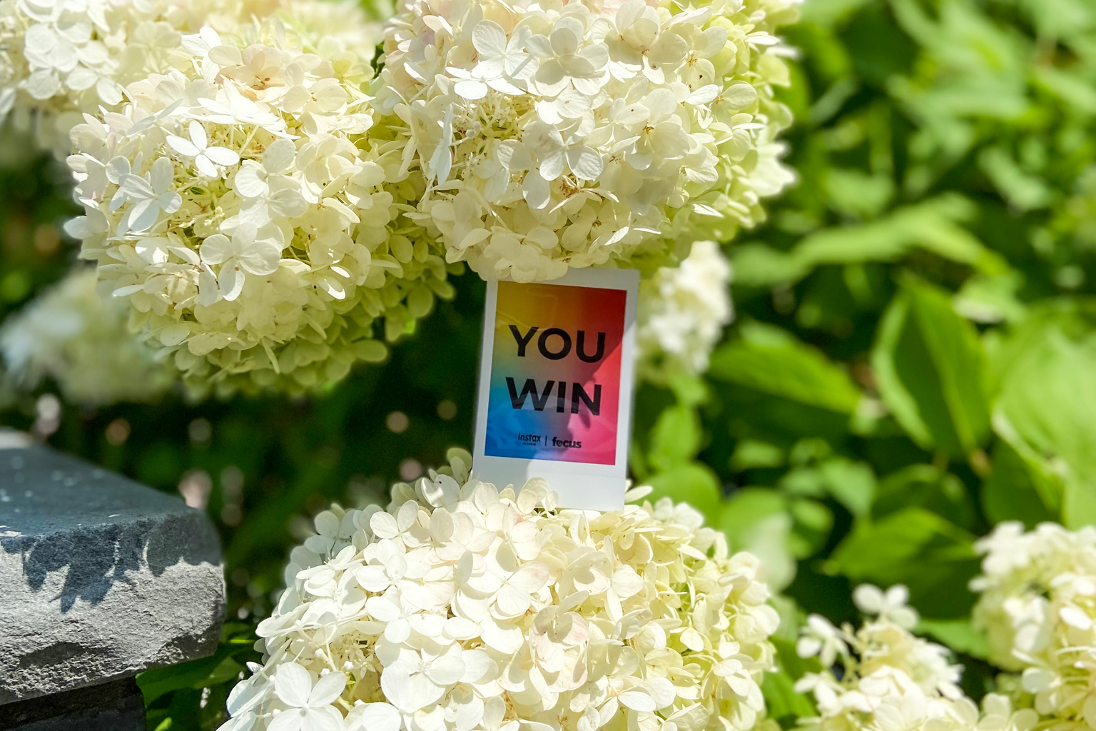 Happy Film Week 2021 Giveaways, Events & More Focus Camera