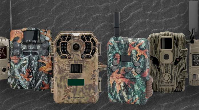 The Best Standard & Cellular Trail Cameras 2021 The Best Trail Cameras 2021