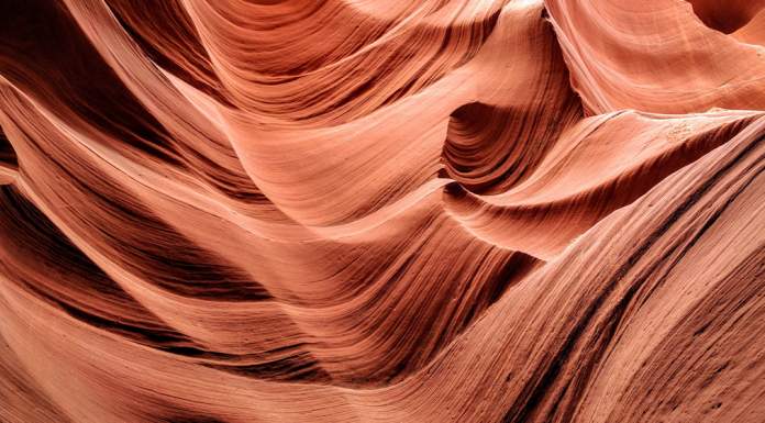 How to Capture Texture in Photography An example of texture in photography