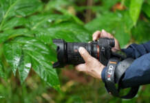 Sony a7R V | A Look at AI Capabilities Sony a7R V Mirrorless Camera
