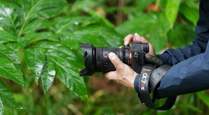Sony a7R V | A Look at AI Capabilities Sony a7R V Mirrorless Camera