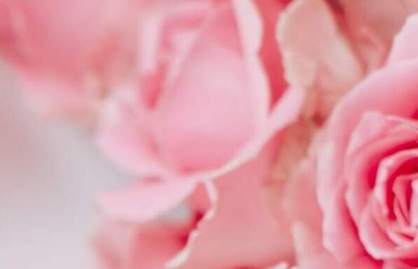 Valentine’s Day Home Décor & Appliances | Lifestyle by Focus