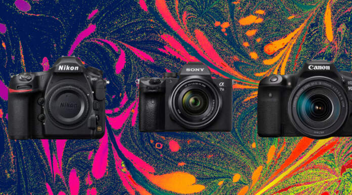 DSLR vs Mirrorless Cameras: 8 Major Factors to Help You Choose What's the difference DSLR vs Mirrorless?